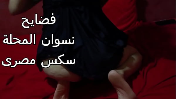 سكس عربي – شرموطة مصرية طيزها ضخمة عايزة تتناك بقوة