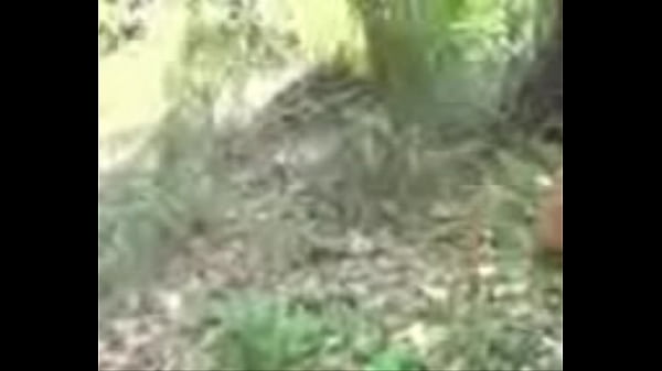 Nonton Video Desi 3gp Bikin Makin Greget, Seru Abis!
